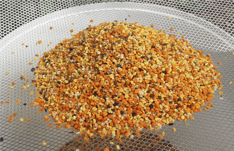 Récolte du Pollen Montagne Bio des Hautes Alpes