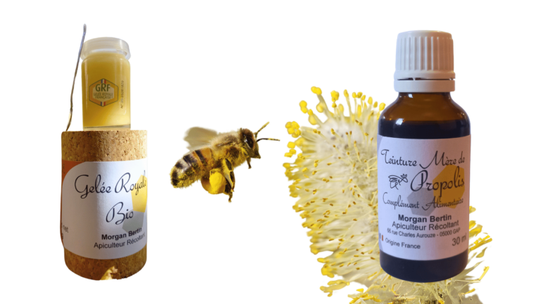 Gelée royale, pollen et propolis bio Morgan Bertin